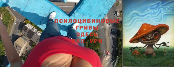 сатива Тихорецк