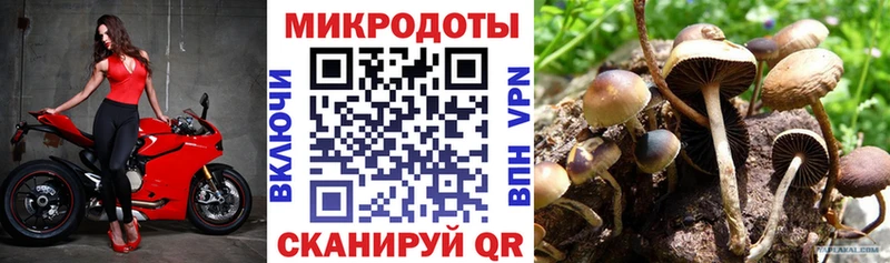 Галлюциногенные грибы прущие грибы  Купить где  Северская 
